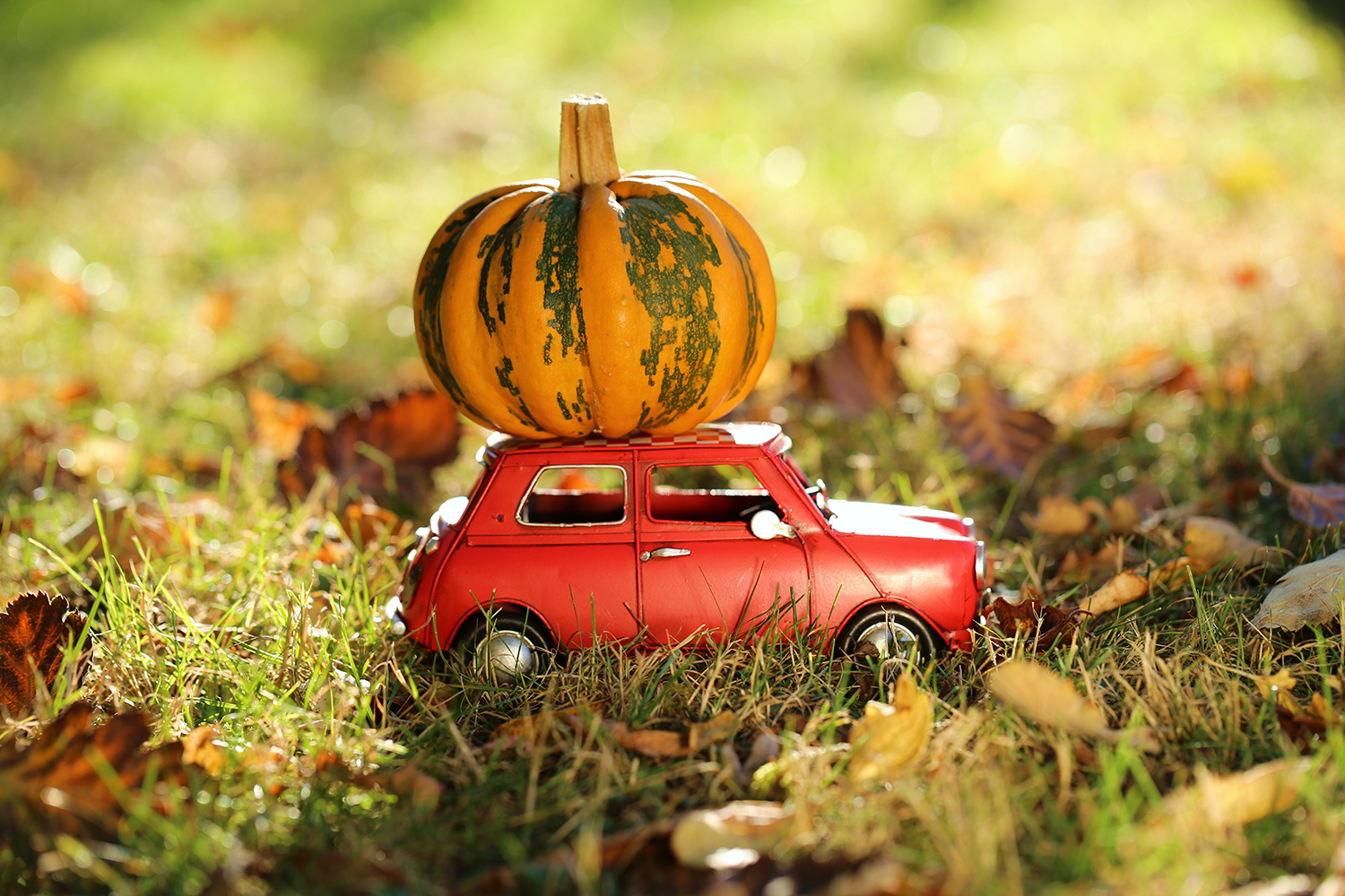 Auto mit Kürbissen im Herbst